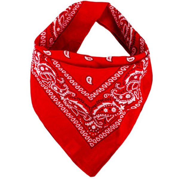 Bandana din Bumbac, Rosie, Model Paisley Alb, 54x54cm, BB-RMPA04